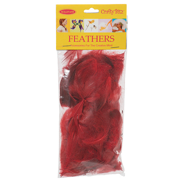Duck Feathers, 2g