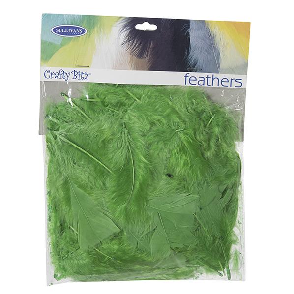 Turkey Feathers,  10g