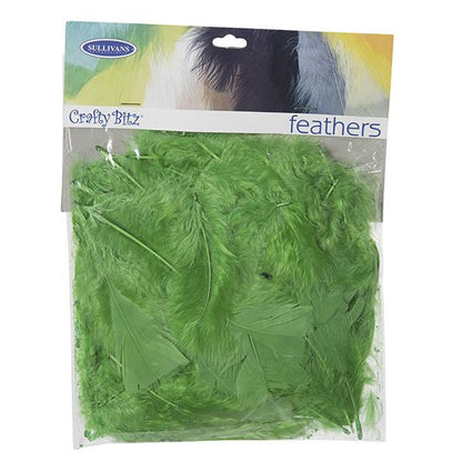 Turkey Feathers,  10g