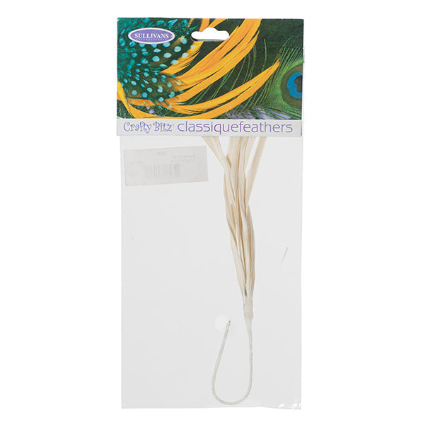 Feather Biot