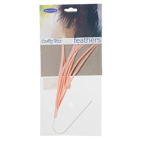 Feather Biot