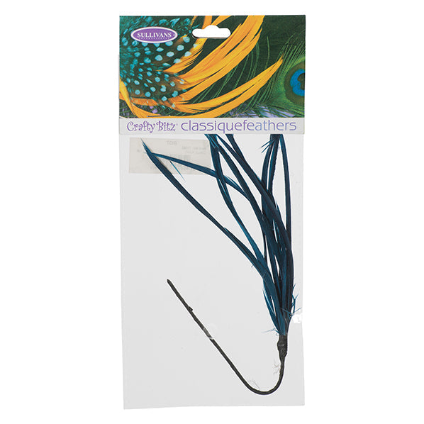Feather Biot