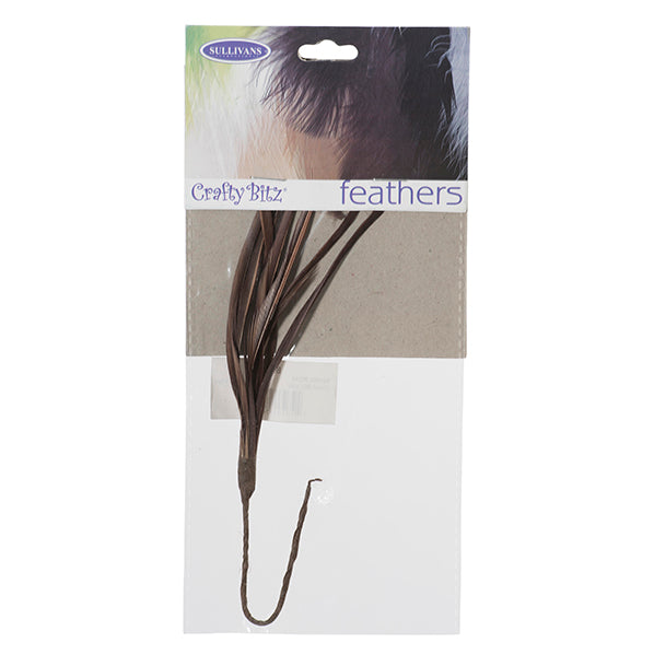 Feather Biot