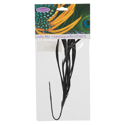 Feather Biot