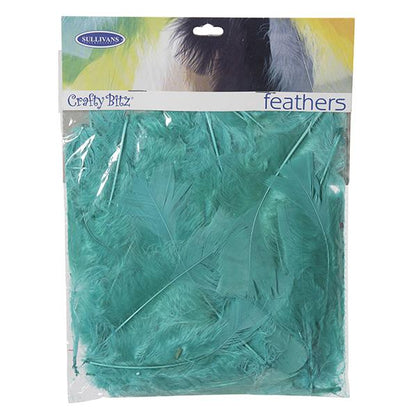 Turkey Feathers,  10g