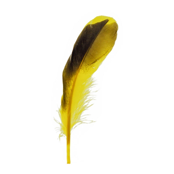 Duck Feather, 13cm