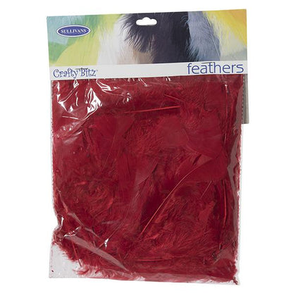 Turkey Feathers,  10g