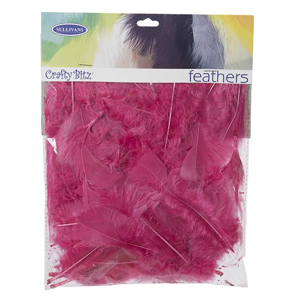 Turkey Feathers,  10g