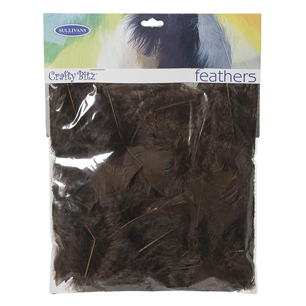 Turkey Feathers,  10g